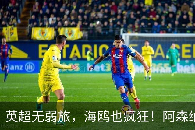 英超无弱旅，海鸥也疯狂！阿森纳3球惨败，拉亚成了远射背景板